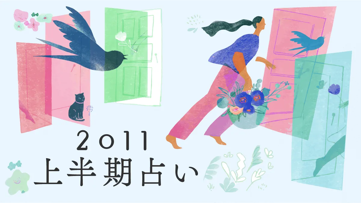 Έ䂩̔肢 2011N㔼 
