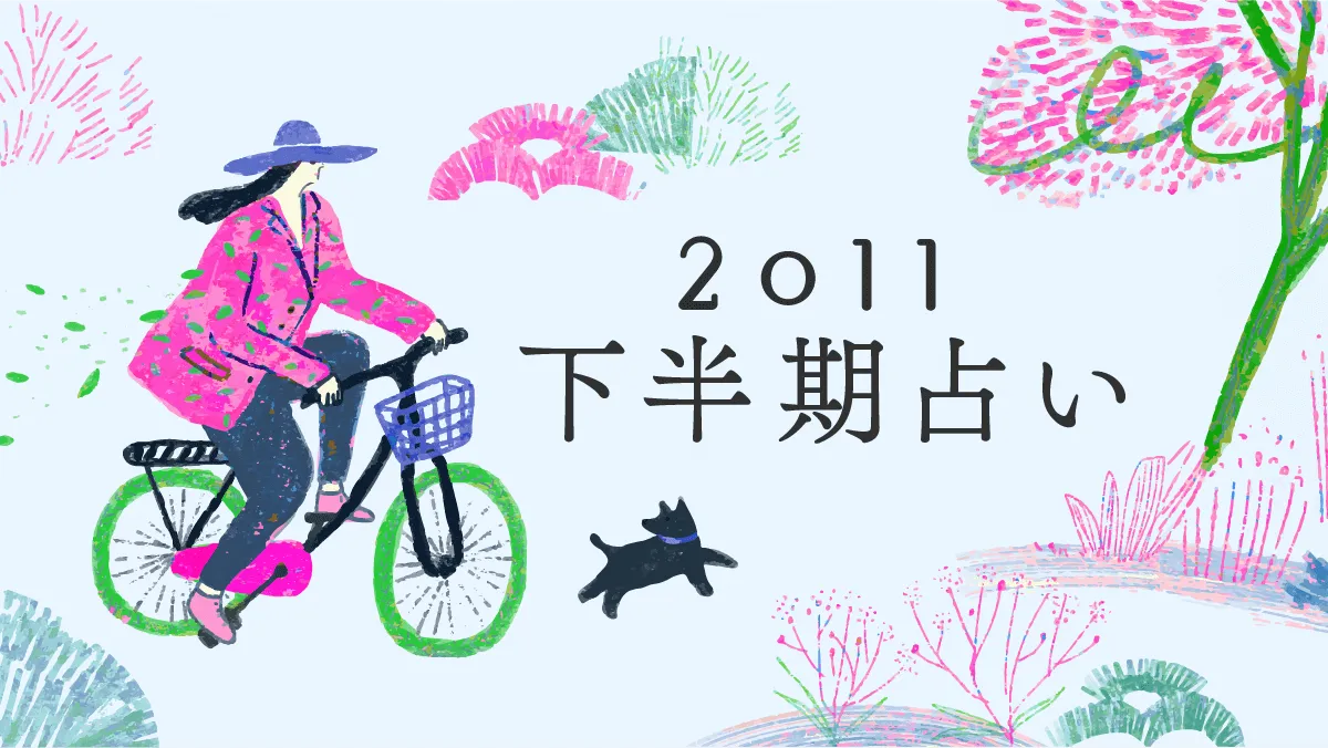 Έ䂩̔肢 2011N 
